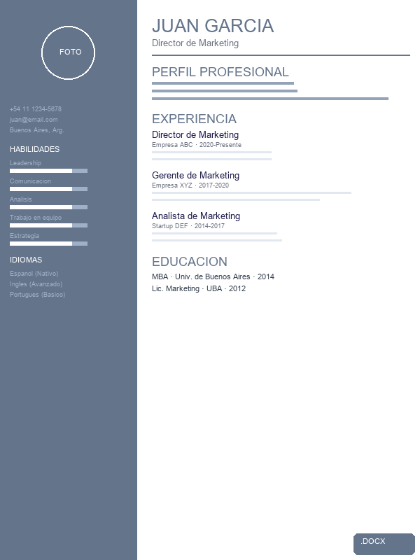 CV Minimalista Gris